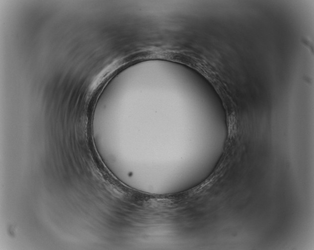 X0000101950150200808081513