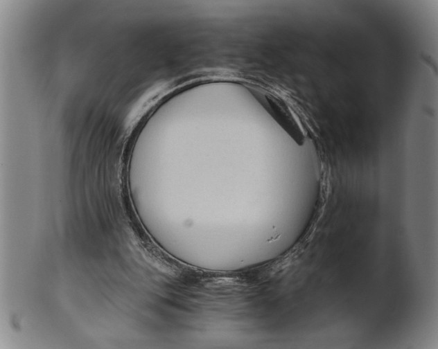 X0000101950151200808081513