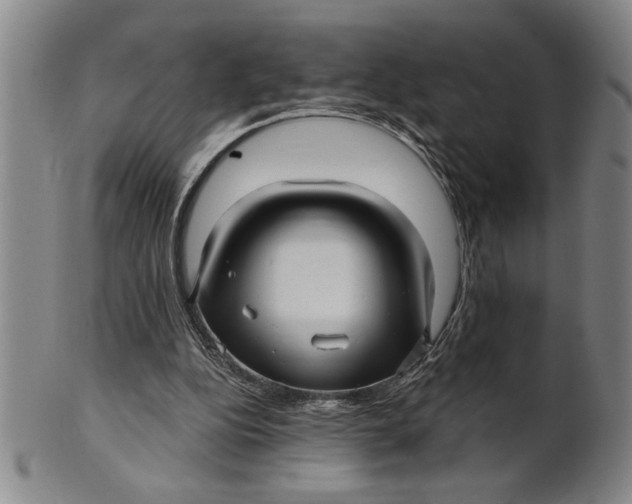 X0000101950152200808081513