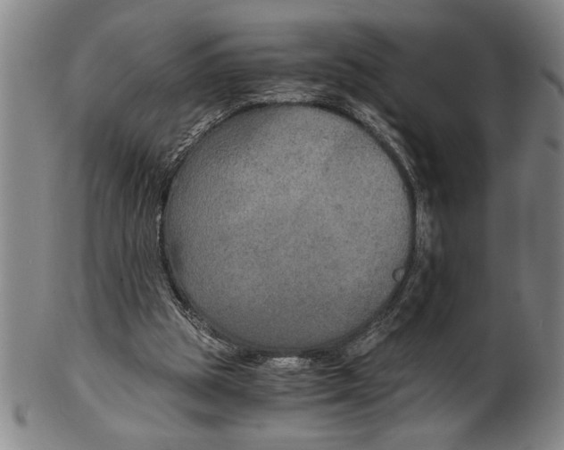 X0000101950153200808081513