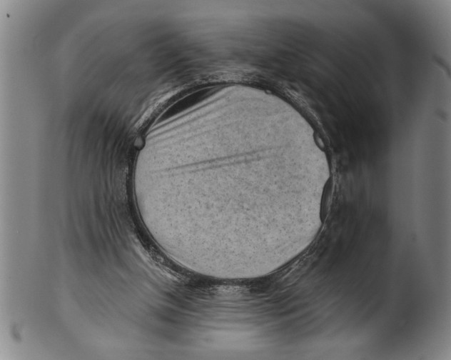 X0000101950154200808081513