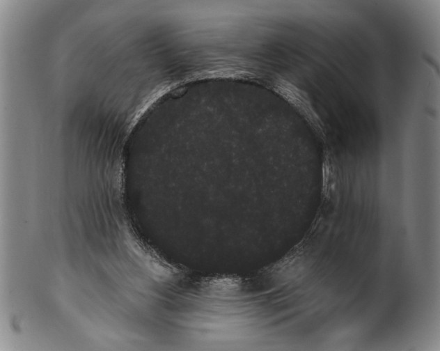 X0000101950156200808081513