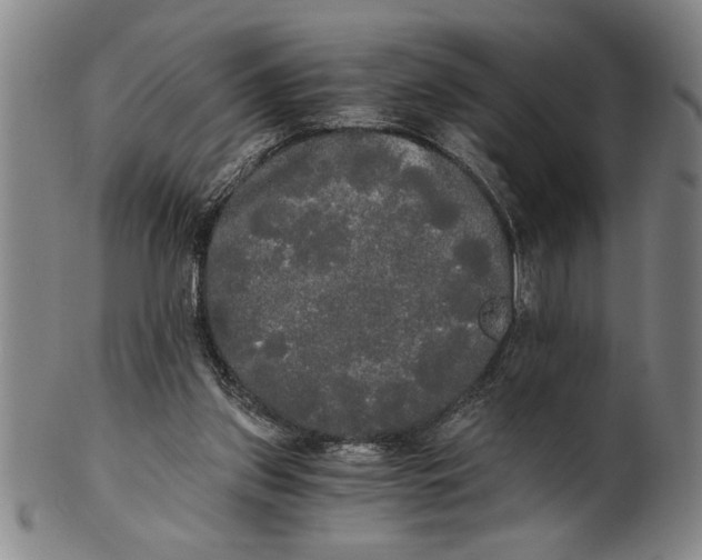 X0000101950157200808081513