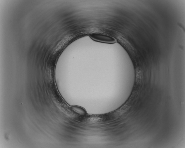 X0000101950158200808081513