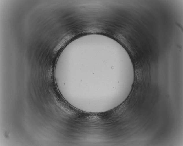 X0000101950159200808081513