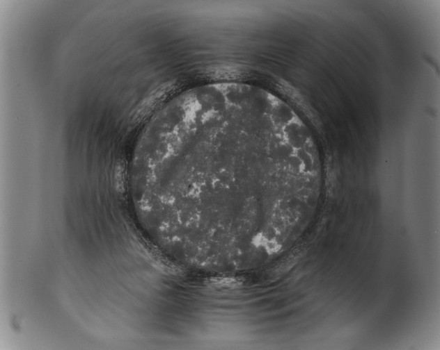 X0000101950161200808081513