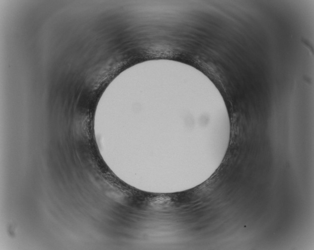X0000101950162200808081513