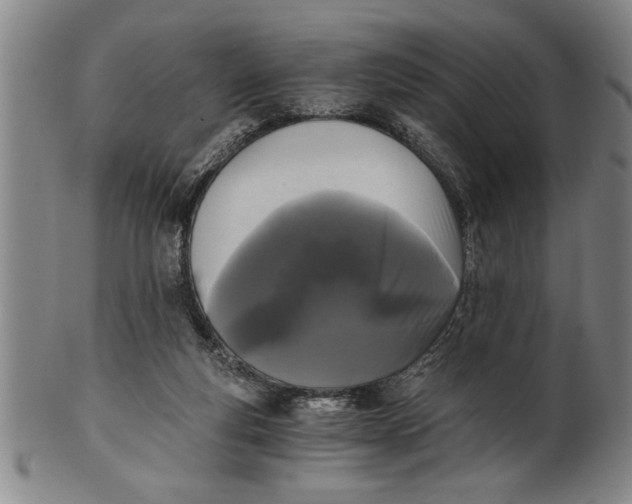 X0000101950163200808081513