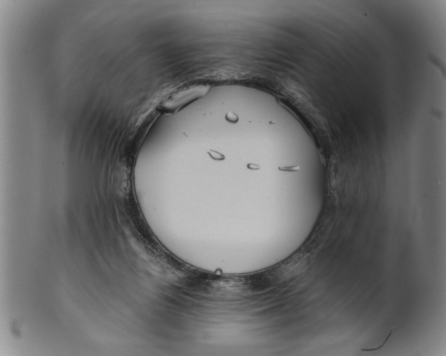 X0000101950164200808081513
