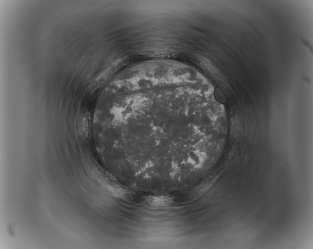 X0000101950165200808081513