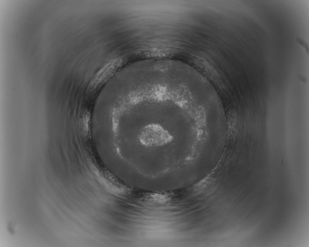 X0000101950166200808081513