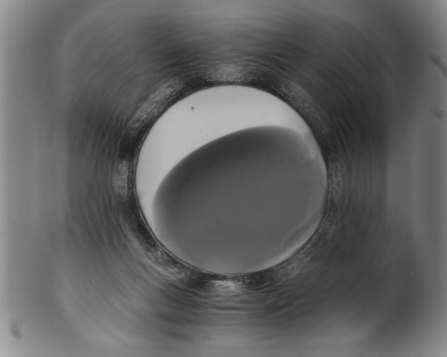 X0000101950167200808081513