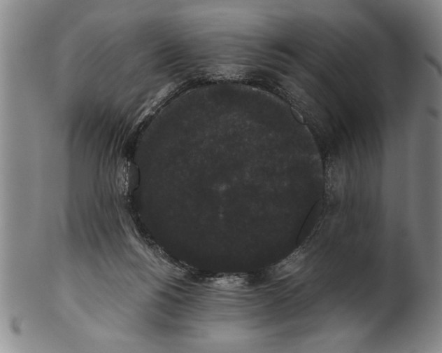 X0000101950168200808081513