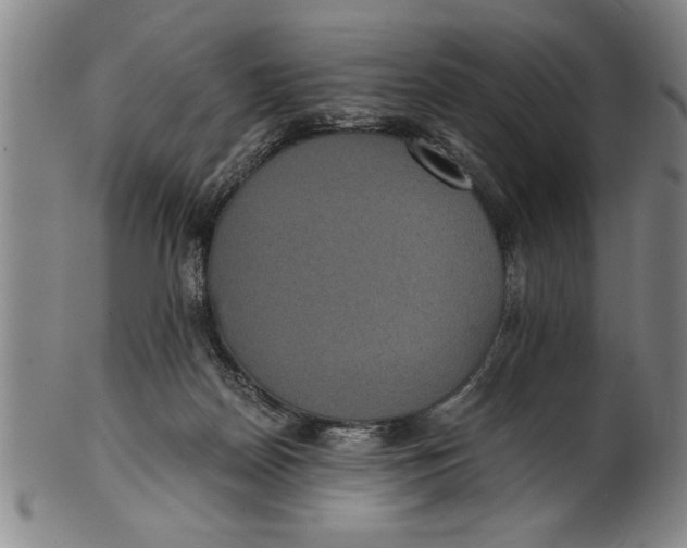 X0000101950170200808081513