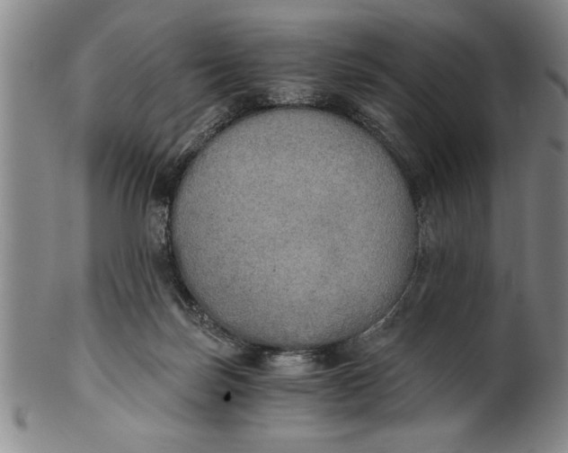 X0000101950171200808081513