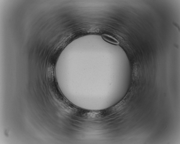 X0000101950172200808081513