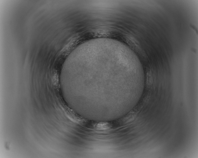 X0000101950173200808081513