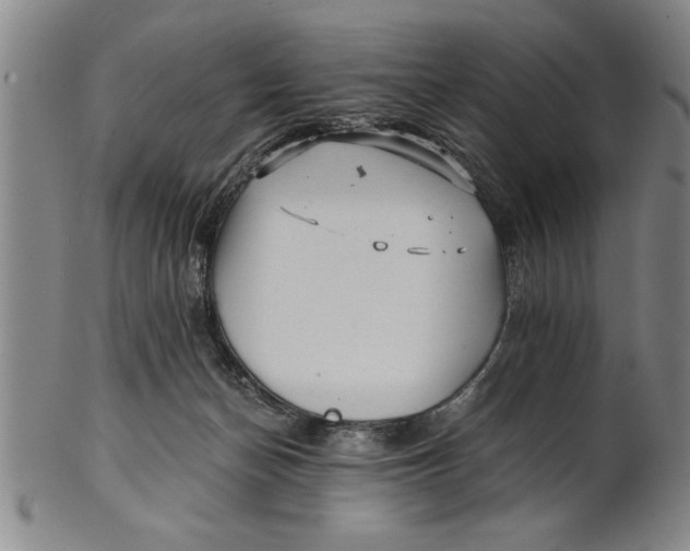 X0000101950174200808081513