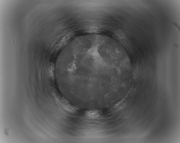 X0000101950175200808081513
