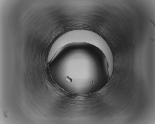 X0000101950176200808081513