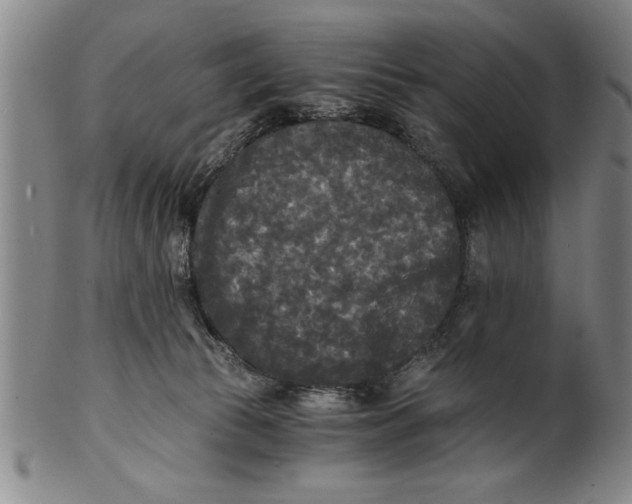 X0000101950177200808081513
