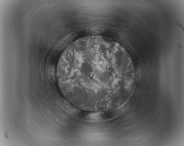 X0000101950178200808081513