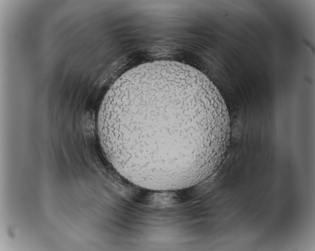 X0000101950179200808081513