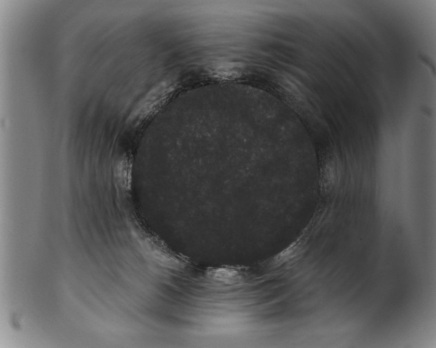 X0000101950180200808081513