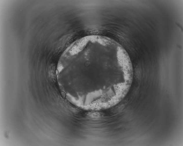 X0000101950181200808081513