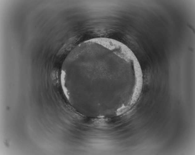 X0000101950182200808081513