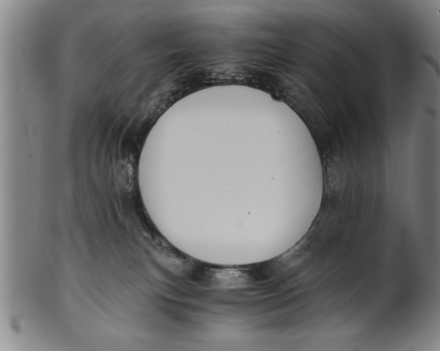 X0000101950183200808081513