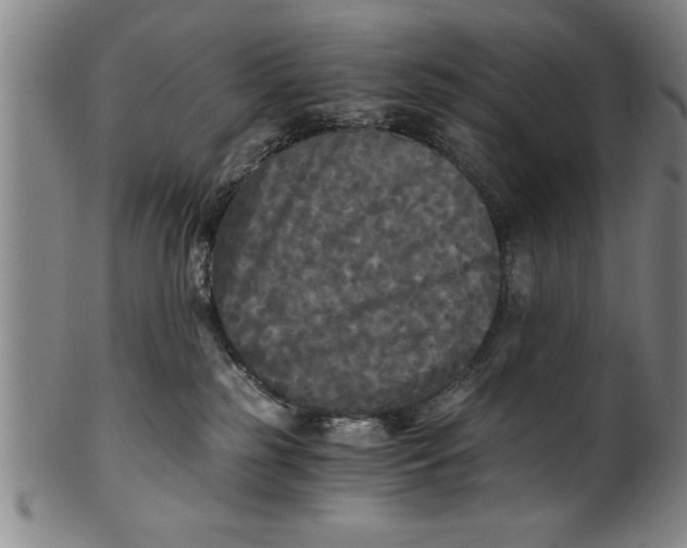 X0000101950185200808081514