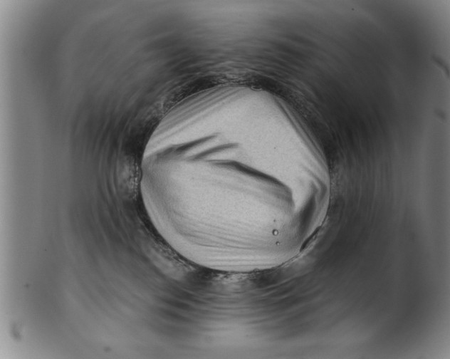 X0000101950186200808081514