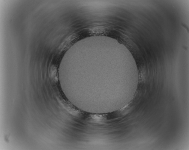 X0000101950187200808081514