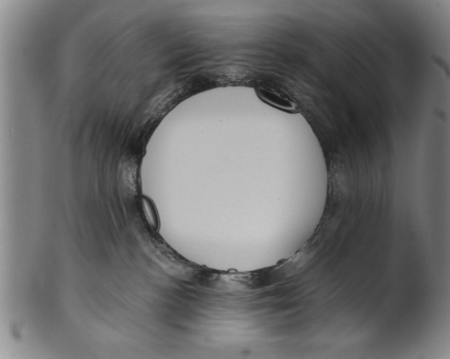 X0000101950188200808081514