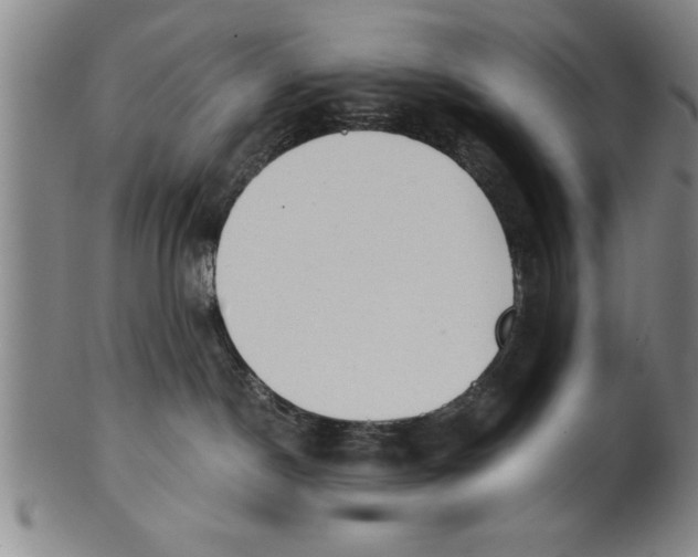X0000101950190200808081514