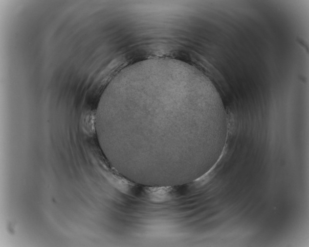 X0000101950191200808081514