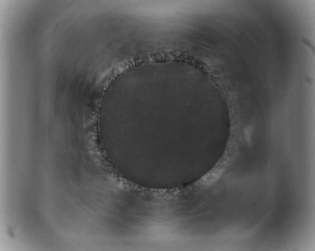 X0000101950192200808081514
