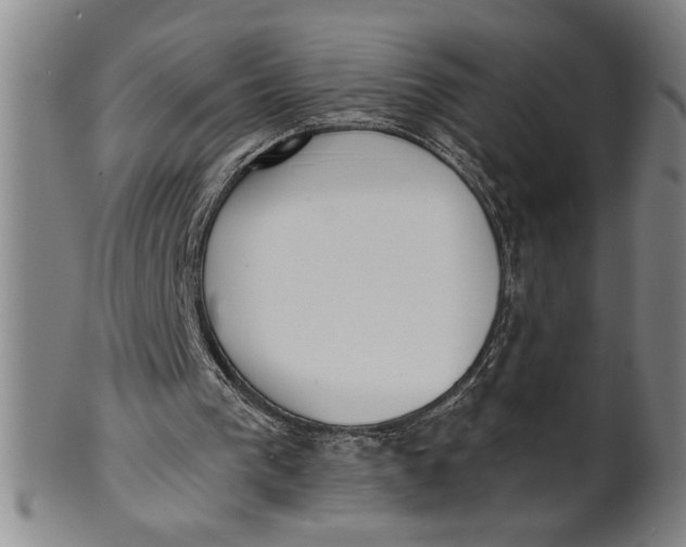 X0000101950193200808081513