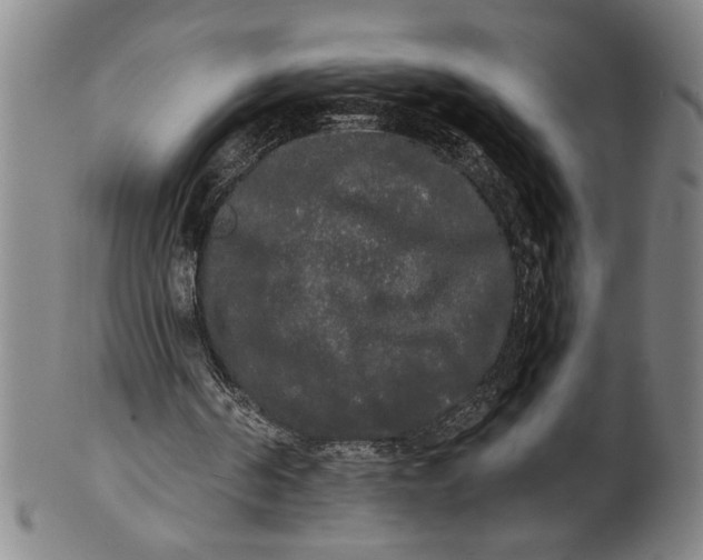 X0000101950194200808081513