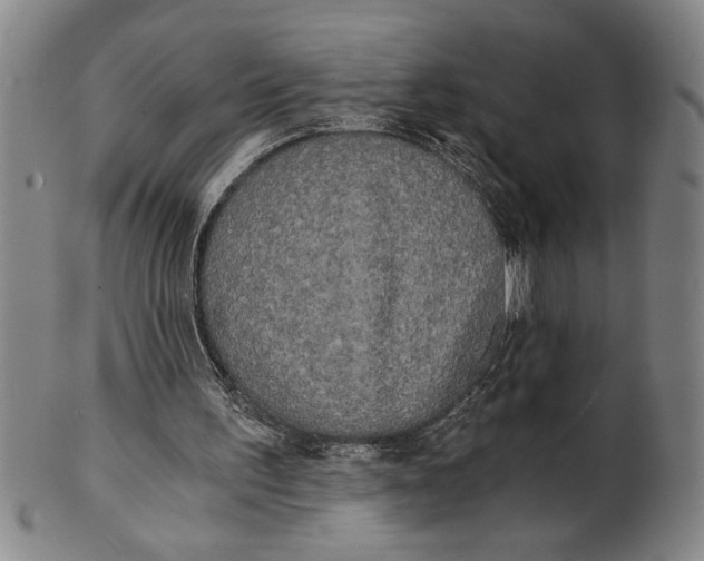 X0000101950195200808081513
