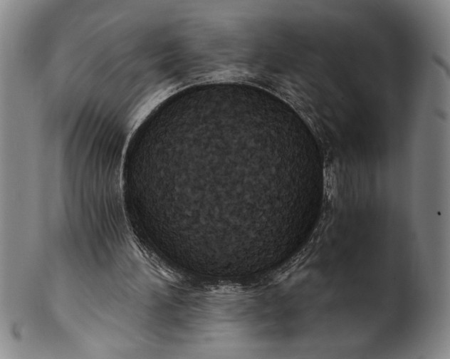 X0000101950196200808081513