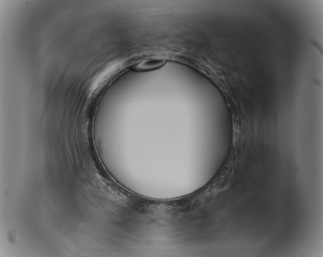 X0000101950197200808081513