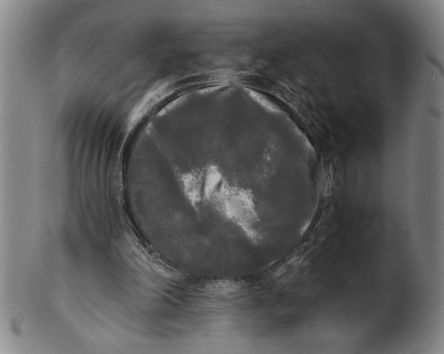 X0000101950198200808081513
