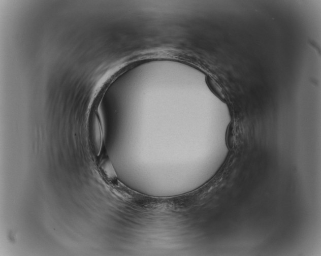 X0000101950200200808081513