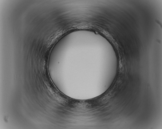 X0000101950201200808081513