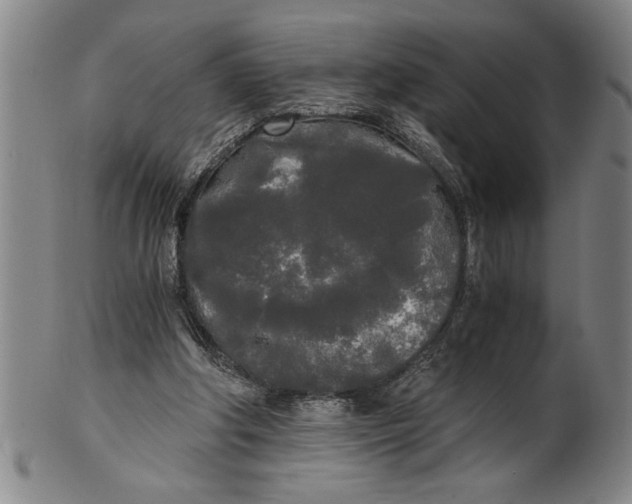 X0000101950202200808081513