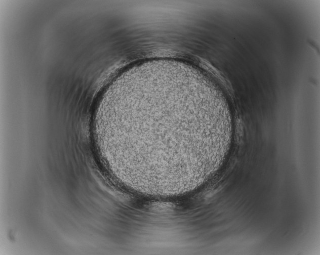 X0000101950203200808081513