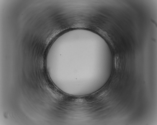 X0000101950204200808081513