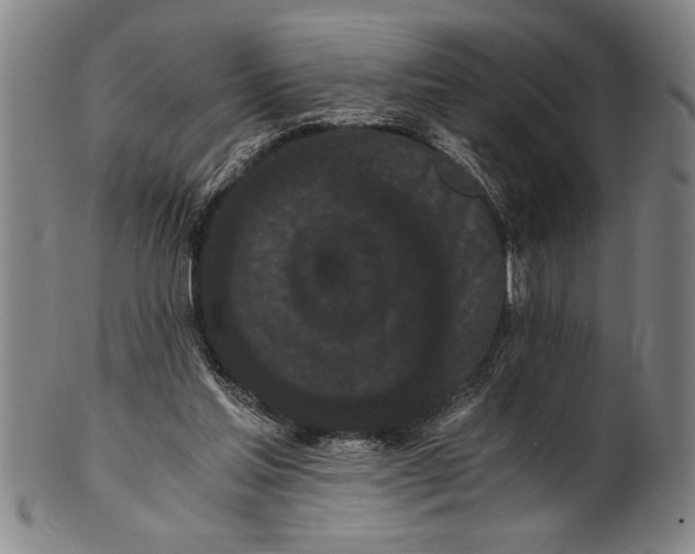 X0000101950205200808081513